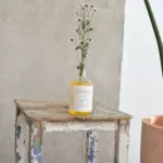 The Organic Republic Champú para pelo normal 250ml - 2